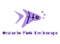 Ontario Fish Exchange