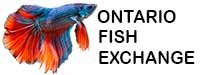 Ontario Fish Exchange